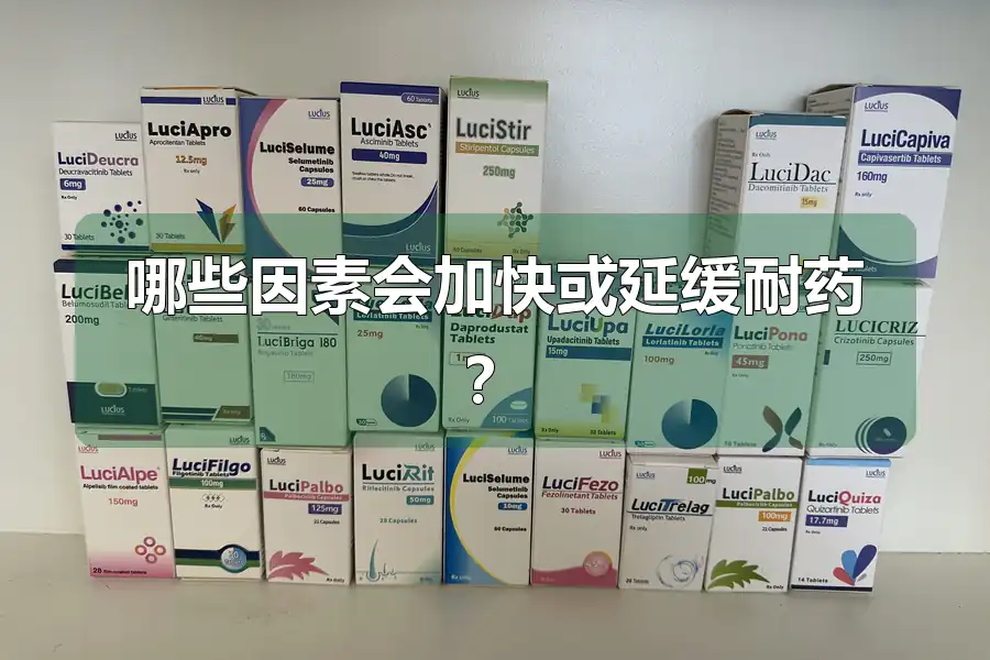 哪些因素会加快或延缓耐药?