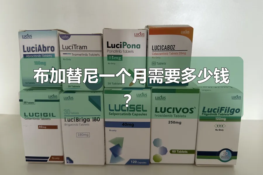 布加替尼一个月需要多少钱?