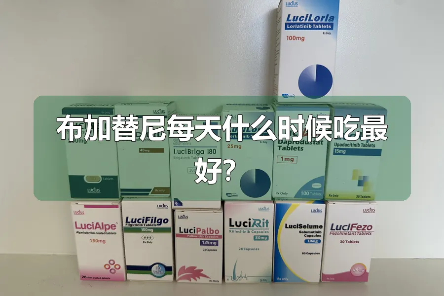 布加替尼每天什么时候吃最好?
